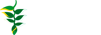 Burle Marx